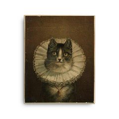 All Dressed Up and No Place to Go - funny dressed up cat painting canvas print on a plain backdrop in size 16"x20".