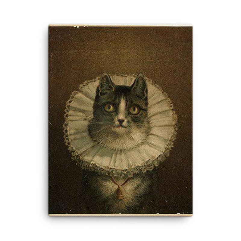 All Dressed Up and No Place to Go - funny dressed up cat painting canvas print on a plain backdrop in size 18