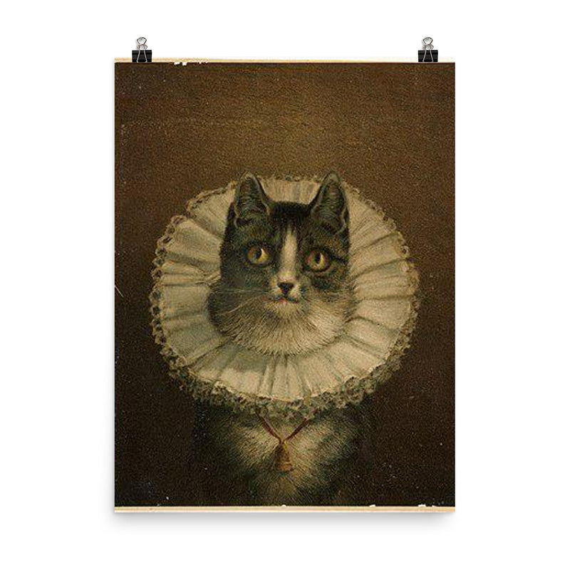 All Dressed Up and No Place to Go - funny dressed up cat painting poster on a plain backdrop in size 8