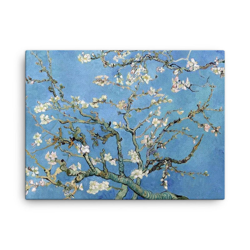 Almond Blossoms by Vincent van Gogh, 1890 canvas print on a plain backdrop in size 18