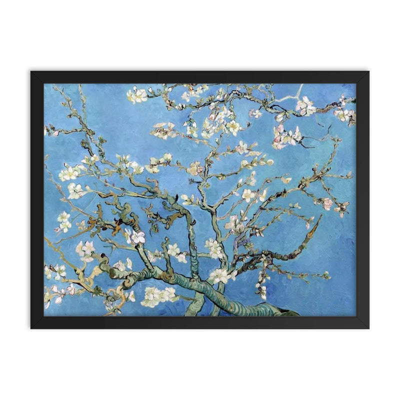 Almond Blossoms by Vincent van Gogh, 1890 framed print on a plain backdrop in size 18
