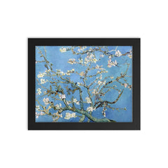 Almond Blossoms by Vincent van Gogh, 1890 framed print on a plain backdrop in size 8"x10".