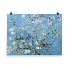 Almond Blossoms by Vincent van Gogh, 1890 poster on a plain backdrop in size 8"x10".