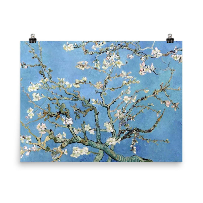 Almond Blossoms by Vincent van Gogh, 1890 poster on a plain backdrop in size 8