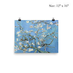Almond Blossoms by Vincent van Gogh, 1890 poster 3