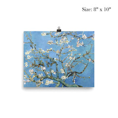 Almond Blossoms by Vincent van Gogh, 1890 poster 4