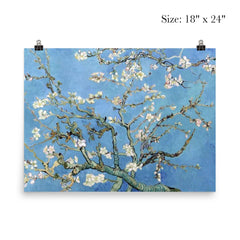 Almond Blossoms by Vincent van Gogh, 1890 poster 5