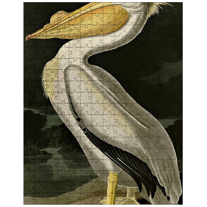 American White Pelican by John Audubon jigsaw puzzle