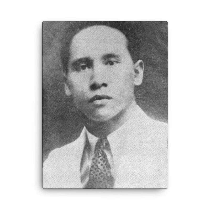 Amir Hamzah canvas print on a plain backdrop in size 18