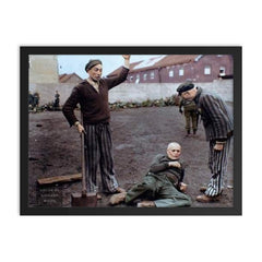 An American Soldier Observing Dachau Prisoners Preparing to Execute an SS Guard, April 29, 1945 framed print on a plain backdrop in size 18"x24".