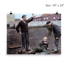 An American Soldier Observing Dachau Prisoners Preparing to Execute an SS Guard, April 29, 1945 poster 5