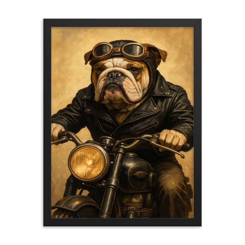 An English Bulldog in a leather jacket and goggles riding a vintage motorcycle framed print on a plain backdrop in size 18