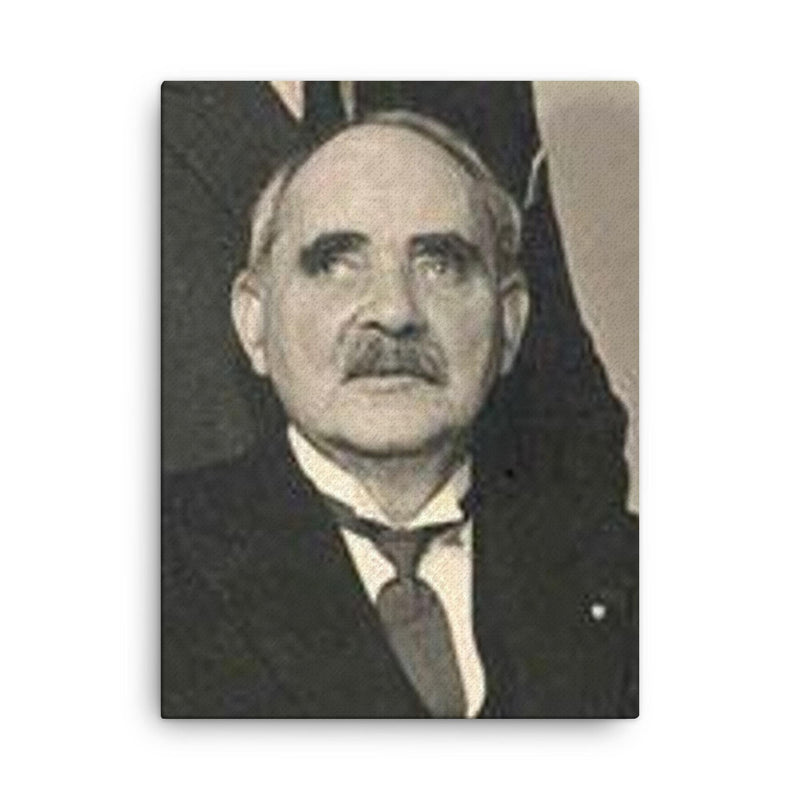 Andrass Samuelsen canvas print on a plain backdrop in size 18