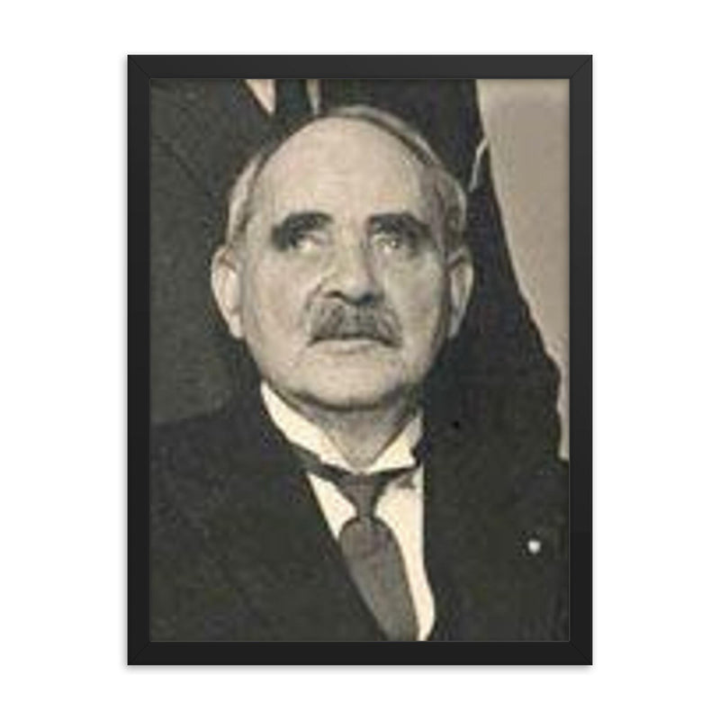 Andrass Samuelsen framed print on a plain backdrop in size 18