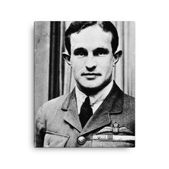 Andrew Beauchamp-Proctor canvas print on a plain backdrop in size 16"x20".