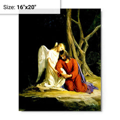 Angel Comforting Jesus Before His Arrest In The Garden Of Gethsemane by Carl Bloch metal print on a plain backdrop in size 16"x20".