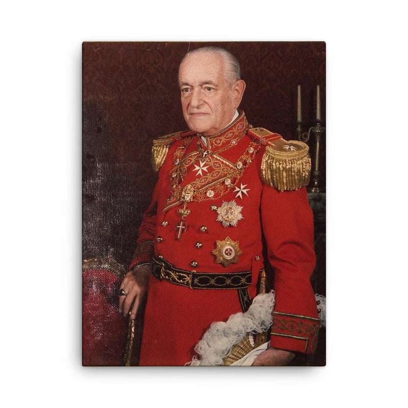 Angelo de Mojana di Cologna canvas print on a plain backdrop in size 18