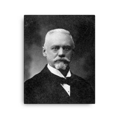 Angelo Moriondo canvas print on a plain backdrop in size 16"x20".