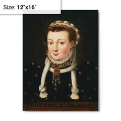Anna van Egmont metal print on a plain backdrop in size 12"x16".
