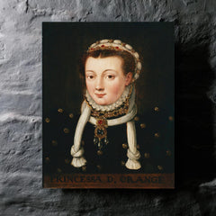 Anna van Egmont metal print mockup