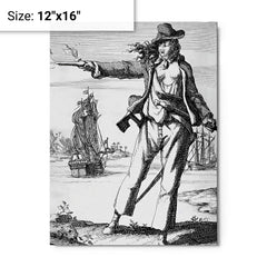Anne Bonny metal print on a plain backdrop in size 12"x16".