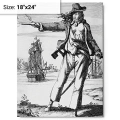 Anne Bonny metal print on a plain backdrop in size 18"x24".