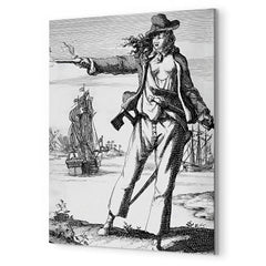 Anne Bonny metal print mockup