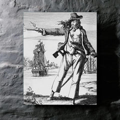 Anne Bonny metal print mockup