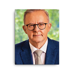 Anthony Albanese canvas print on a plain backdrop in size 16"x20".