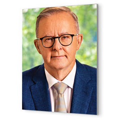 Anthony Albanese metal print mockup