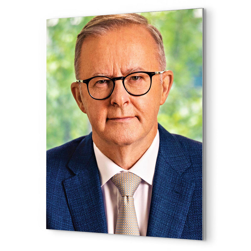 Anthony Albanese metal print mockup