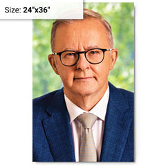 Anthony Albanese metal print on a plain backdrop in size 24"x36".