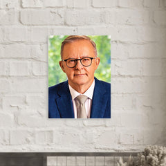 Anthony Albanese metal print mockup