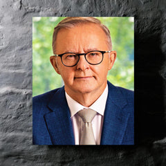 Anthony Albanese metal print mockup
