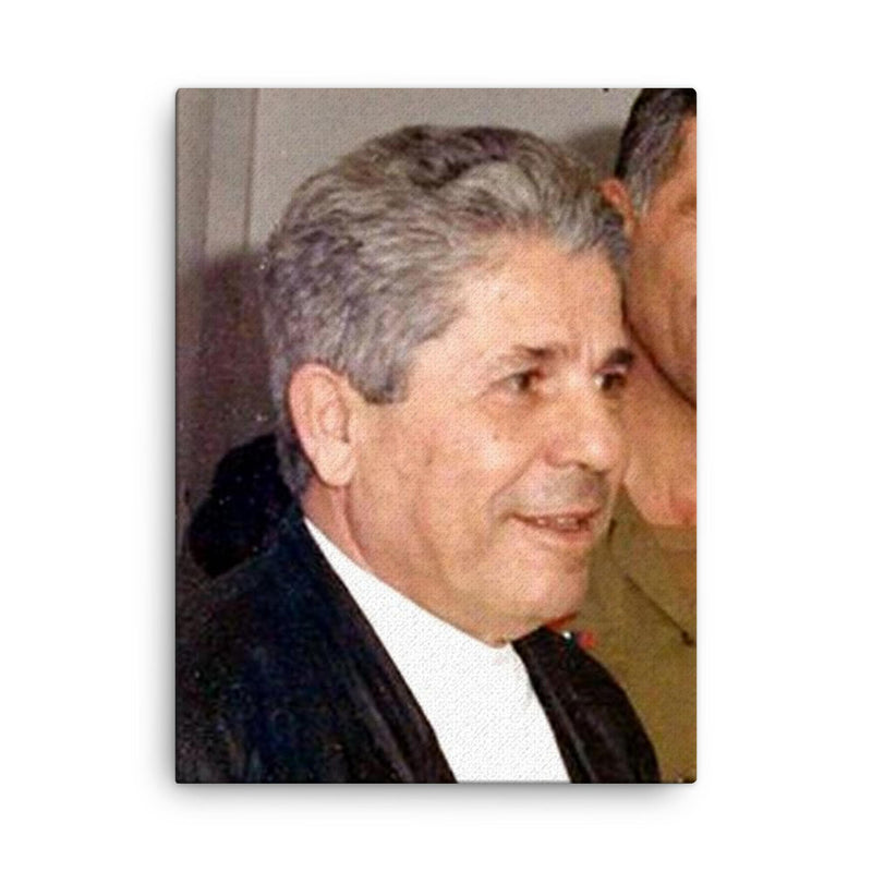 Antoine Lahad canvas print on a plain backdrop in size 18