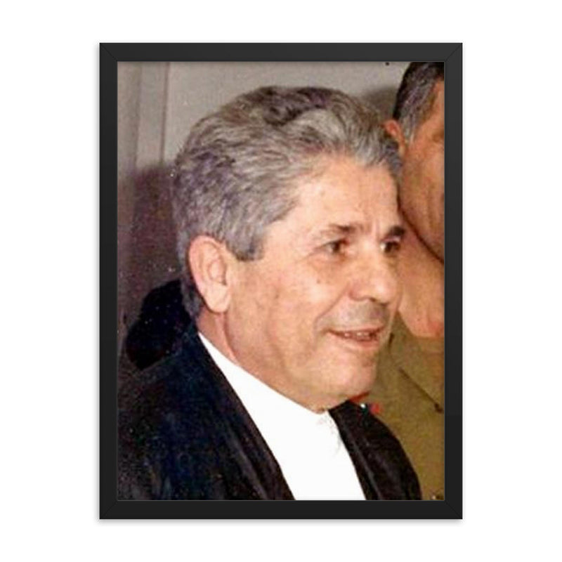 Antoine Lahad framed print on a plain backdrop in size 18