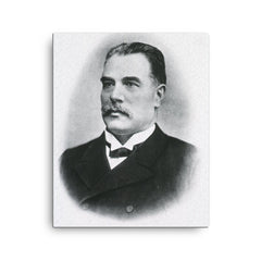 Anton Weichselbaum canvas print on a plain backdrop in size 16"x20".