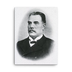 Anton Weichselbaum canvas print on a plain backdrop in size 18"x24".