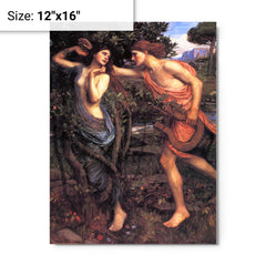 Apollo and Daphne by John William Waterhouse metal print on a plain backdrop in size 12"x16".