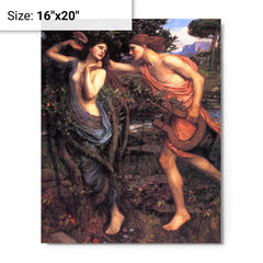 Apollo and Daphne by John William Waterhouse metal print on a plain backdrop in size 16"x20".