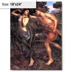 Apollo and Daphne by John William Waterhouse metal print on a plain backdrop in size 18"x24".