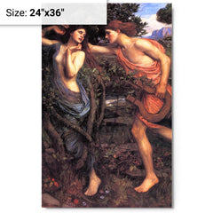 Apollo and Daphne by John William Waterhouse metal print on a plain backdrop in size 24"x36".