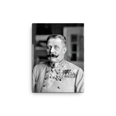 Archduke Franz Ferdinand canvas print on a plain backdrop in size 12"x16".