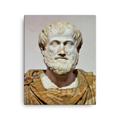 Aristotle canvas print on a plain backdrop in size 16"x20".