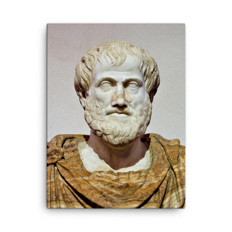 Aristotle canvas print on a plain backdrop in size 18
