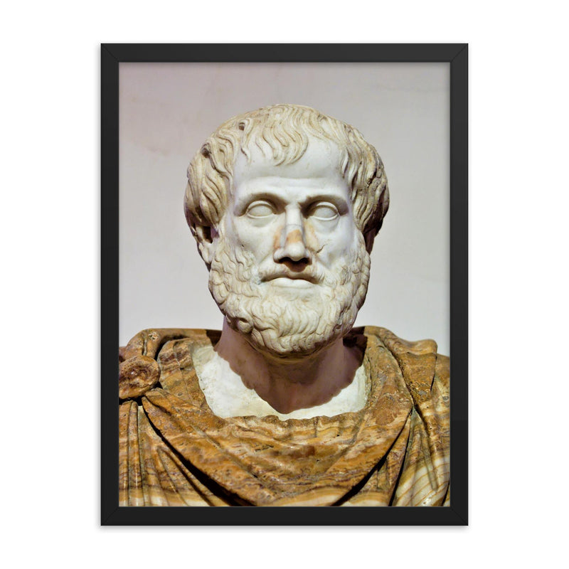 Aristotle framed print on a plain backdrop in size 18
