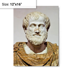 Aristotle metal print on a plain backdrop in size 12"x16".