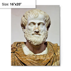 Aristotle metal print on a plain backdrop in size 16"x20".