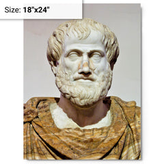 Aristotle metal print on a plain backdrop in size 18"x24".