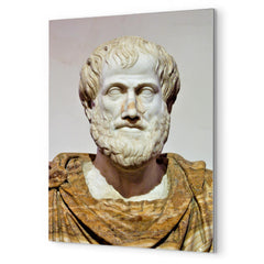Aristotle metal print mockup